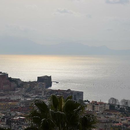Casa Del Cedro Leilighet Napoli Eksteriør bilde
