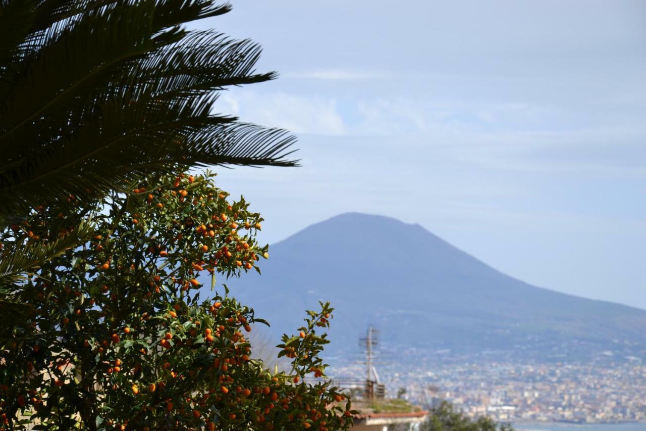 Casa Del Cedro Leilighet Napoli Eksteriør bilde