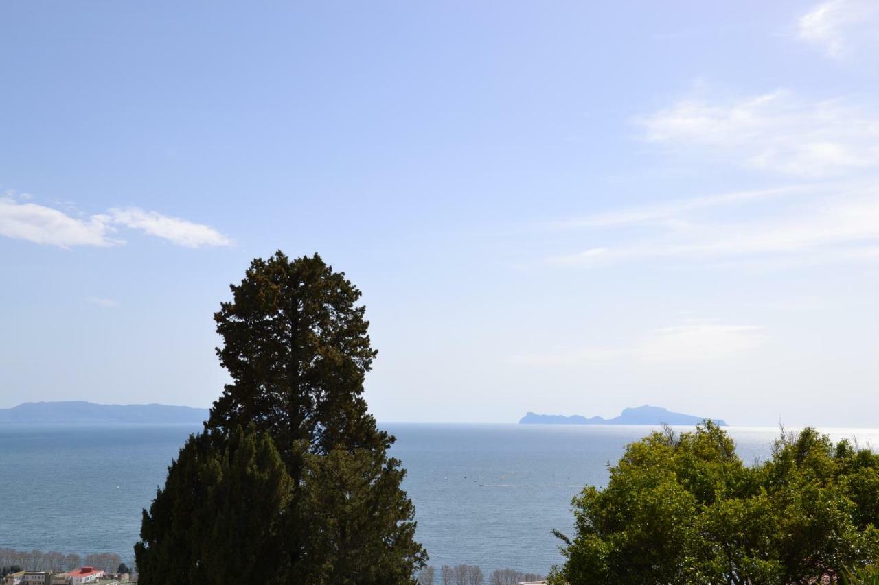 Casa Del Cedro Leilighet Napoli Eksteriør bilde